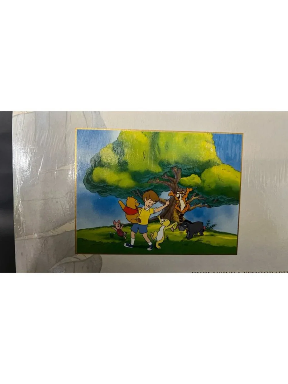 Poohs Grand Adventure Disney Store Exclusive Litho Portfolio